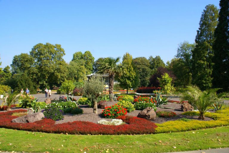 Rheinpark Kleinbahn im Rheinpark Koeln